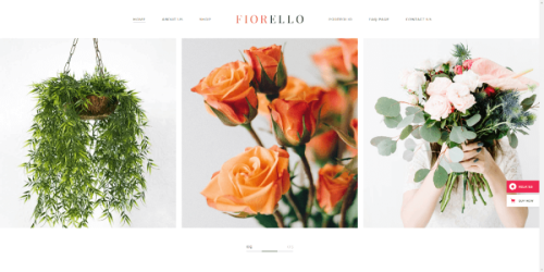 11 Best Flower Shop WordPress Themes For 2023