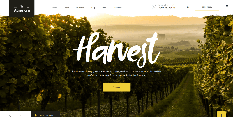 Agrarium-â€“-Just-another-WordPress-site (1).png