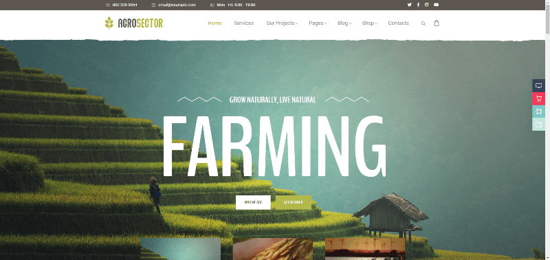 Agrosector-Agriculture-Organic-Food-Preview-ThemeForest (1).png
