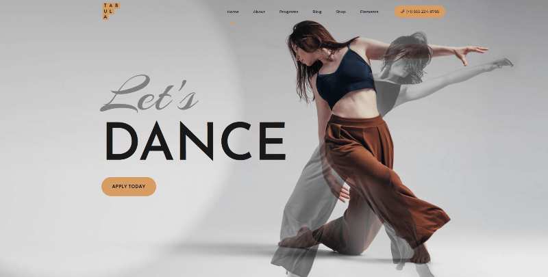 Home-â€“-Contemporary-Ballet-â€“-Shady (1).png