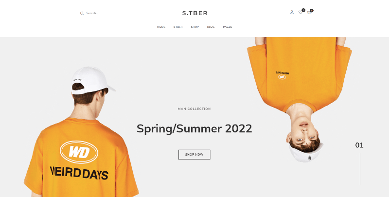Home-3-â€“-Stber-â€“-Multipurpose-Woocommerce-WordPress-theme (1).png