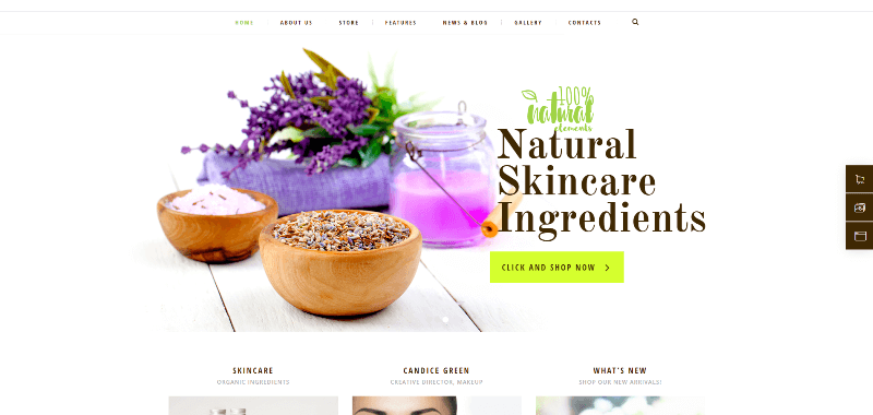 Organic-Beauty-Store-Natural-Cosmetics-WordPress-Theme-Preview-ThemeForest (1).png