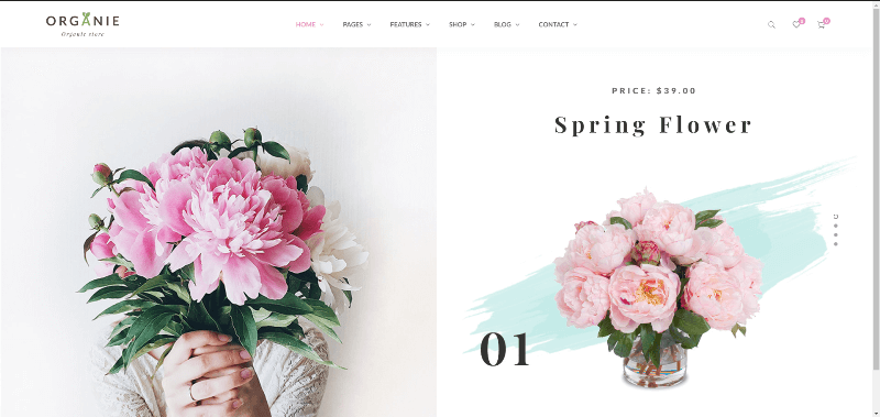 Organie-Organic-Store-Food-WooCommerce-Theme-Preview-ThemeForest (1).png