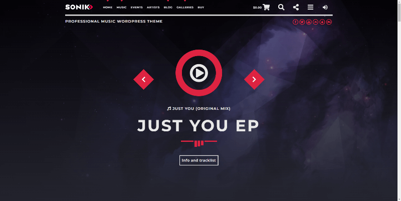 Sonik-Music-WordPress-Theme-â€“-Professional-Music-WordPress-Theme (1).png